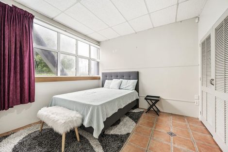 Photo of property in Apparel House, 215u1 Victoria Street, Te Aro, Wellington, 6011