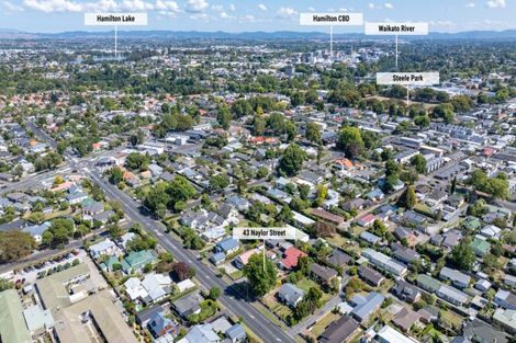 Photo of property in 43 Naylor Street, Hamilton East, Hamilton, 3216