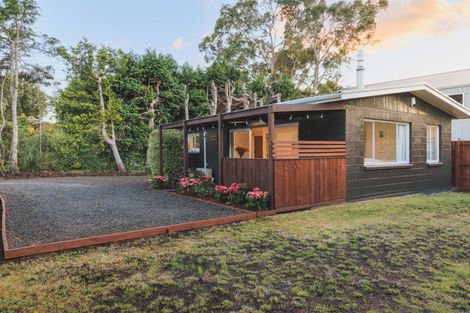 Photo of property in 19 Te Herekiekie Street, Turangi, 3334