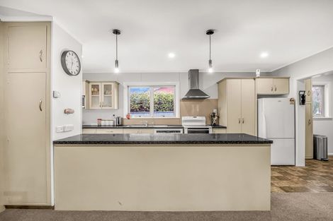 Photo of property in 19 Porter Street, Netherby, Ashburton, 7700