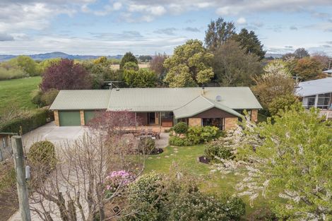 Photo of property in 41 Lynas Street, Outram, 9019
