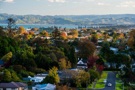 Photo of property in 71 Seddon Crescent, Whataupoko, Gisborne, 4010