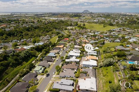 Photo of property in 210 Castlewold Drive, Bethlehem, Tauranga, 3110