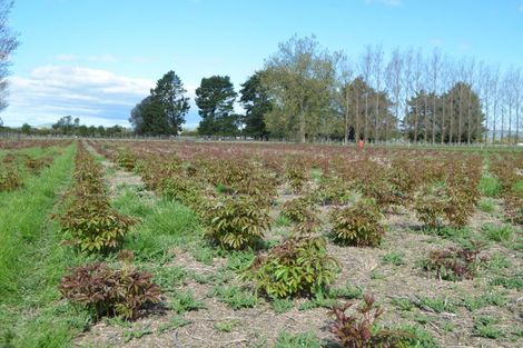 Photo of property in 83 Boundary Road, Upper Plain, Masterton, 5888