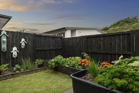 Photo of property in 57 Saint Pauls Drive, Brookfield, Tauranga, 3110