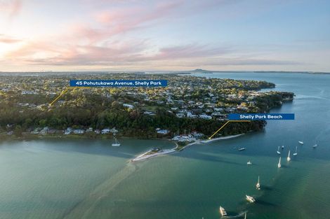Photo of property in 45 Pohutukawa Avenue, Shelly Park, Auckland, 2014