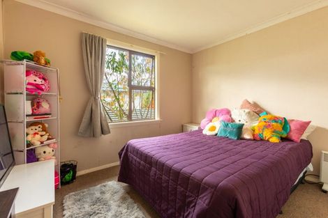 Photo of property in 42 Tararua Street, Pahiatua, 4910