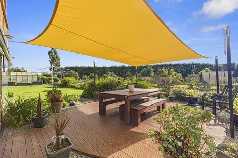 Photo of property in 728 No 1 Road, Te Puke, 3182