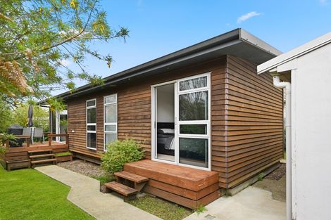 Photo of property in 17 Sillary Street, Hamilton East, Hamilton, 3216
