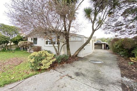 Photo of property in 47 Greenpark Street, Hoon Hay, Christchurch, 8025