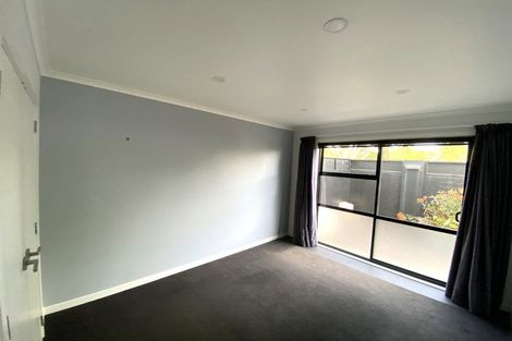 Photo of property in 132c Firth Street, Hamilton East, Hamilton, 3216