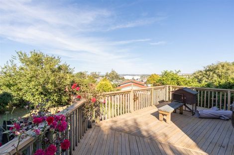 Photo of property in 51 Corrin Street, Melville, Hamilton, 3206