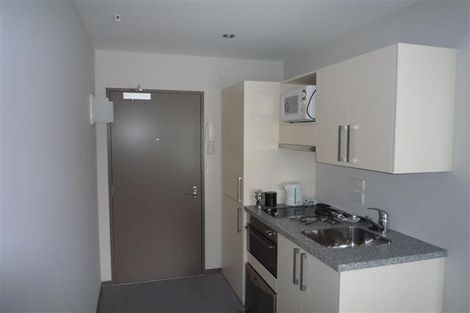 Photo of property in Dual Apartments, 108/142u Vivian Street, Te Aro, Wellington, 6011