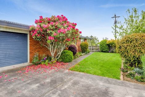 Photo of property in 51 Swansea Road, Stratford, 4332