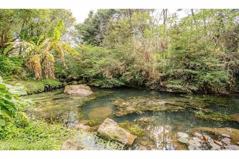 Photo of property in 299 Waipapa Road, Waipapa, 0230