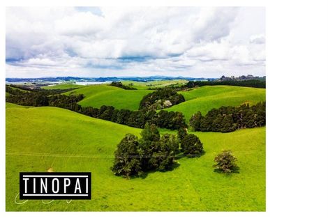 Photo of property in 1509 Tinopai Road, Tinopai, Matakohe, 0593