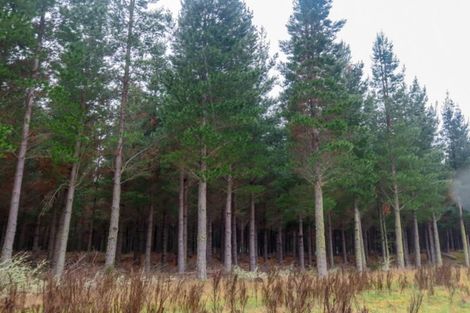 Photo of property in 3224 Waihopai Valley Road, Waihopai Valley, Blenheim, 7276
