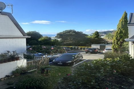 Photo of property in Sherwood Mews, 28y Bidwill Street, Mount Cook, Wellington, 6021
