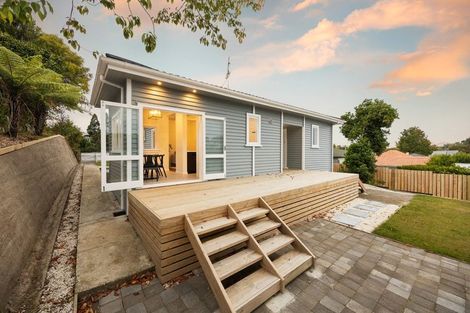 Photo of property in 17 Hinau Street, Maeroa, Hamilton, 3200