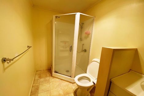 Photo of property in 17 James Street, Hamilton East, Hamilton, 3216