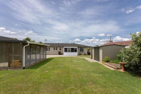 Photo of property in 129 Guy Street, Dannevirke, 4930