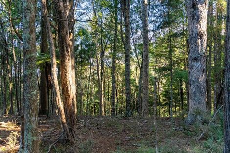 Photo of property in 917 Waipu Caves Road, Waipu, 0582