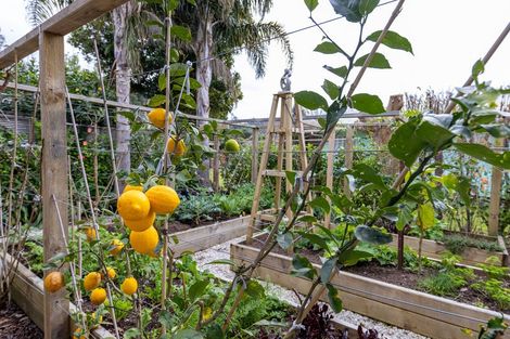 Photo of property in 15a Diamond Drive, Tairua, 3508