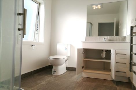 Photo of property in 8u7 Lyon Street, Frankton, Hamilton, 3204