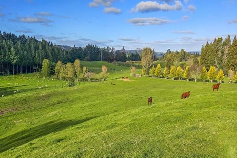 Photo of property in 94 Oturoa Road, Hamurana, 3072