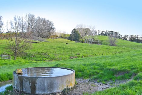 Photo of property in 210 Staniforth Road, Kaiwaka, Wellsford, 0975