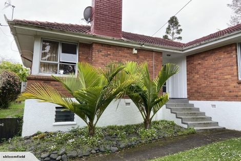 Photo of property in 37 Routley Drive, Glen Eden, Auckland, 0602