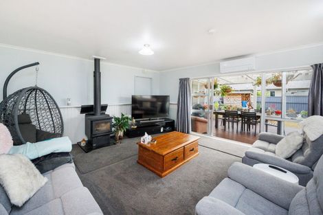 Photo of property in 145 Stanford Street North, Ashhurst, 4810