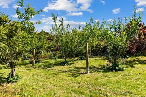 Photo of property in 205 Takahoa Drive, Kaiwaka, 0573