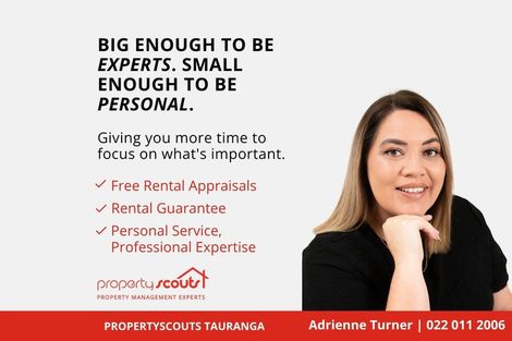 Photo of property in 46 Cook Street, Gate Pa, Tauranga, 3112