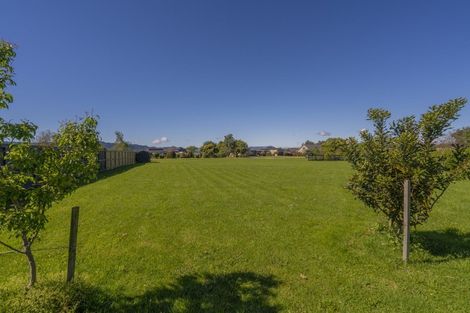 Photo of property in 8a Austin Drive, Whitianga, 3510