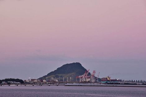 Photo of property in 260 Maungatapu Road, Maungatapu, Tauranga, 3112