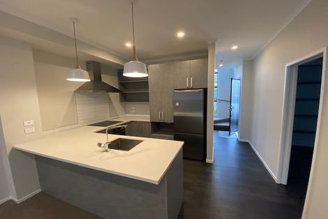 Photo of property in 13u4 Beale Street, Hamilton East, Hamilton, 3216