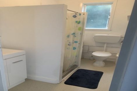 Photo of property in 33 Constable Street, Newtown, Wellington, 6021