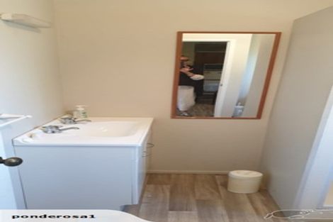 Photo of property in 331 Fitzgerald Road, Drury, 2577