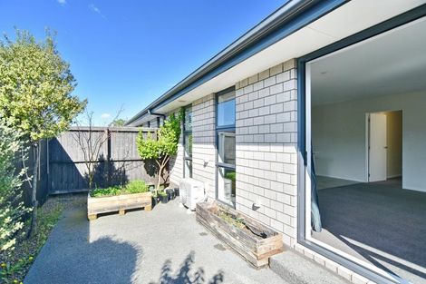 Photo of property in 51b Grafton Street, Waltham, Christchurch, 8011