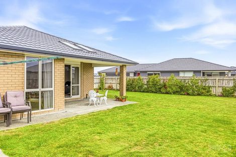 Photo of property in 63 Tawhero Street, Gonville, Whanganui, 4501