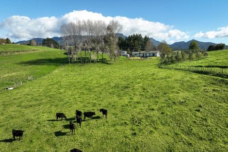 Photo of property in 533 Wright Road, Aongatete, Katikati, 3181