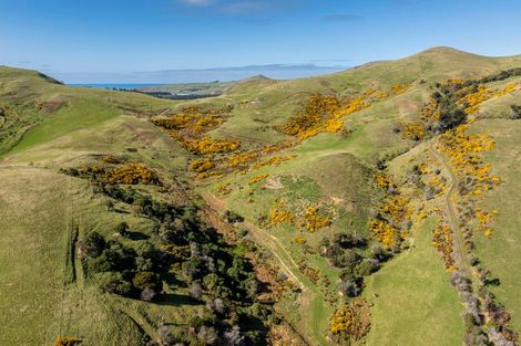 Photo of property in 452 Harington Point Road, Lower Portobello, Dunedin, 9077