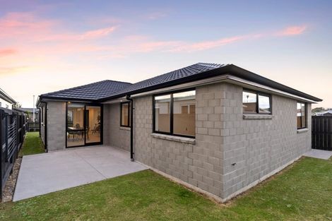 Photo of property in 21 Kuihi Street, Poike, Tauranga, 3112