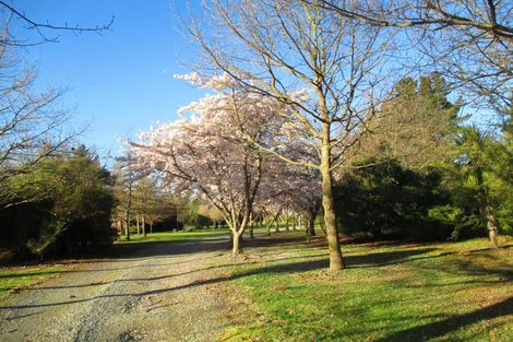 Photo of property in 309 Flatman Road, Orari Bridge, Geraldine, 7991