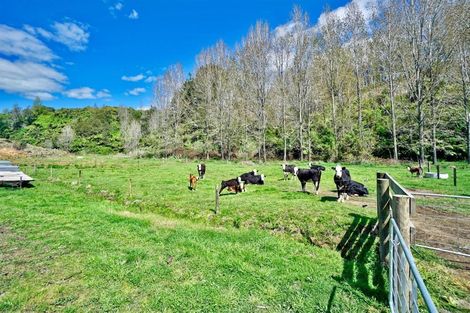 Photo of property in 429 Manoeka Road, Te Puke, 3183