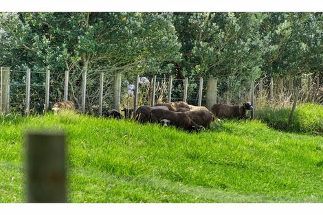 Photo of property in 20 Roku Rise, Kaukapakapa, 0873