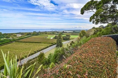Photo of property in 36 Kaimata Road, Bay View, Napier, 4182