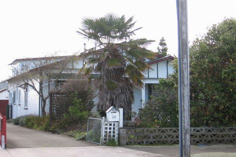 Photo of property in 38 Durham Street, Levin, 5510