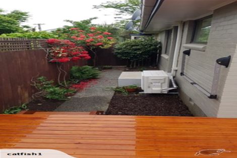 Photo of property in 8 Kinleys Lane, St Albans, Christchurch, 8014